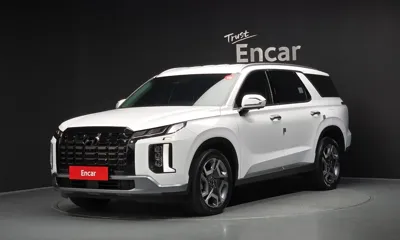 Hyundai Palisade · 2024 год