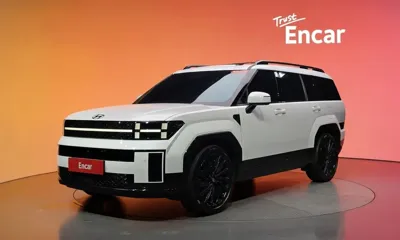 Hyundai Santafe · 2024 год