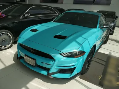 Ford Mustang · 2019 год