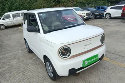Geely Galaxy Panda 2024, 1900 км, за 6805 USD