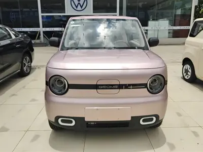 Galaxy Panda 2026, 100 км, за 5300.44 USD