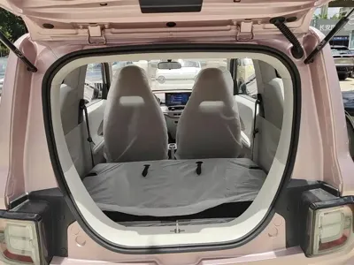 Galaxy Panda 2026, 100 км, за 5300.44 USD