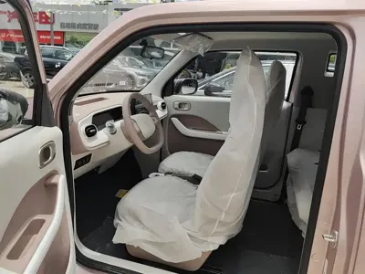 Galaxy Panda 2026, 100 км, за 5300.44 USD - фото 9