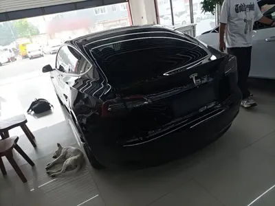 Tesla Model 3 2021, 79600 км, за 18848.96 USD
