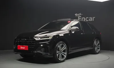 Audi Q8 · 2023 год
