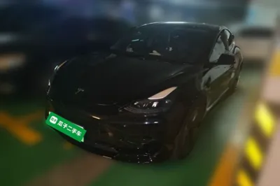 Tesla Model 3 · 2022 год