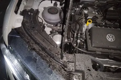 Jetta VS5 2024, 9300 км, за 9148 USD - фото 23