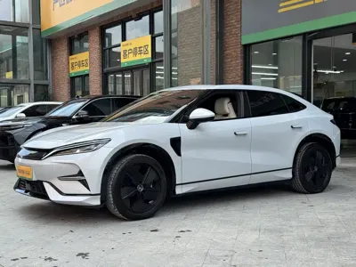 BYD L EV 2024, 23400 км, за 17480.53 USD