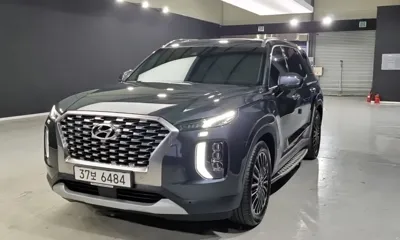 Hyundai Palisade · 2019 год