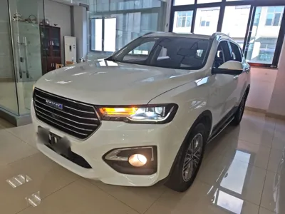 Haval H6 · 2019 год