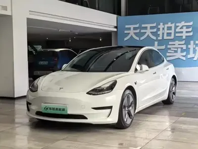 Tesla Model 3 · 2020 год