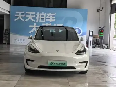 Tesla Model 3 2020, 66600 км, за 14719.52 USD