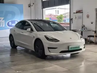 Tesla Model 3 2020, 66600 км, за 14719.52 USD