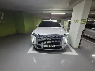 Hyundai Palisade · 2024 год