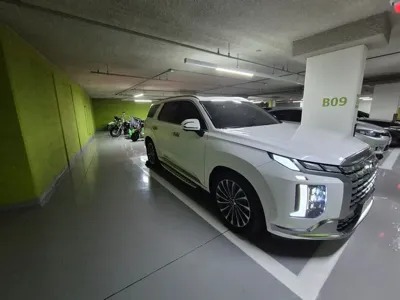 Hyundai Palisade 2024, 35000 км, за 17625.05 USD