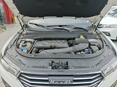 Haval H4 2019, 95100 км, за 5164.7 USD - фото 20