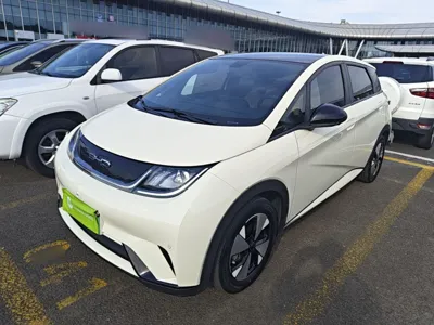 BYD Dolphin · 2023 год