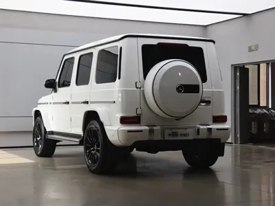 Mercedes-Benz G-Class 2023, 33000 км, за 197023.84 USD - фото 25