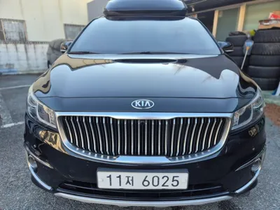 Kia Canival · 2016 год