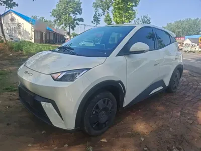 BYD Seagull · 2024 год