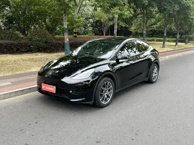 Tesla Model Y · 2024 год