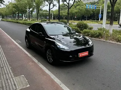 Tesla Model Y 2024, 52000 км, за 21661.68 USD