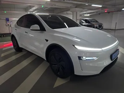Tesla Model Y · 2025 год