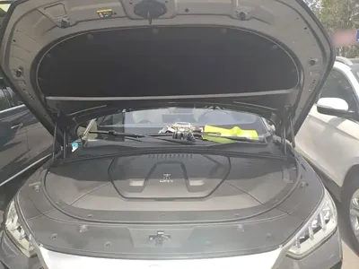 BYD PLUS New Energy 2022, 81800 км, за 10977.02 USD - фото 20