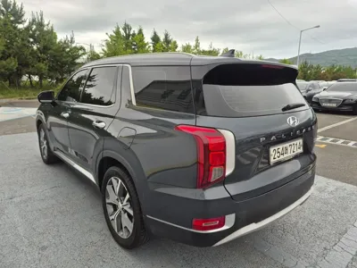 Hyundai Palisade 2020, 132305 км, за 15426.02 USD