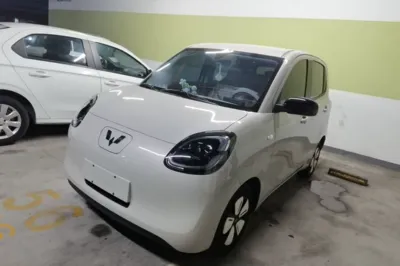 Wuling Hongguang MINIEV · 2025 год