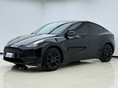Tesla Model Y · 2021 год