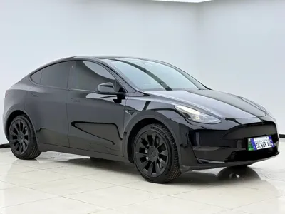 Tesla Model Y 2021, 30000 км, за 20864.81 USD