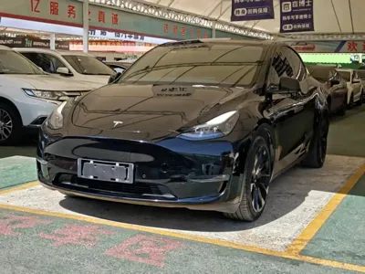 Tesla Model Y · 2021 год