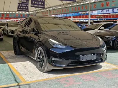 Tesla Model Y 2021, 132000 км, за 20598.49 USD