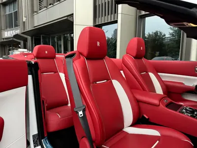 Rolls-Royce Dawn 2021, 35000 км, за 461564.99 USD - фото 16