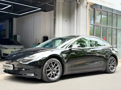 Tesla Model 3 · 2021 год