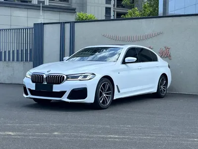 BMW 5 Series · 2021 год