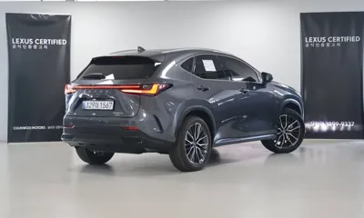 Lexus NX 2025, 8428 км, за 43879.59 USD