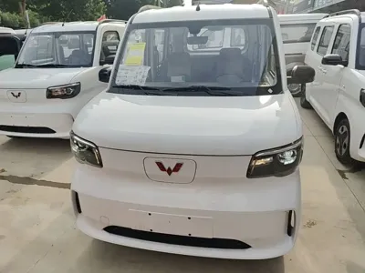 Wuling Zhiguang EV 2026, 100 км, за 7259.91 USD
