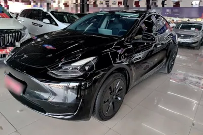 Tesla Model Y · 2022 год