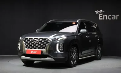 Hyundai Palisade · 2019 год