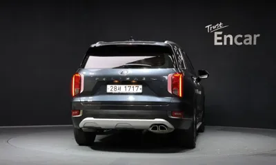 Hyundai Palisade 2019, 116305 км, за 12823.91 USD