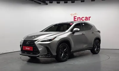 Lexus NX · 2025 год
