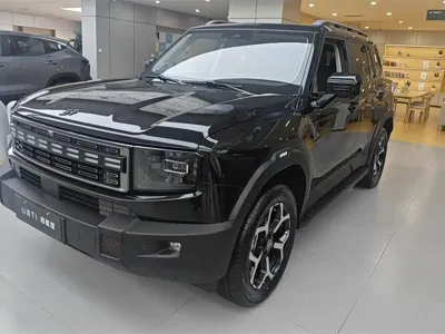 Shanhai Shanhai T1 · 2026 год