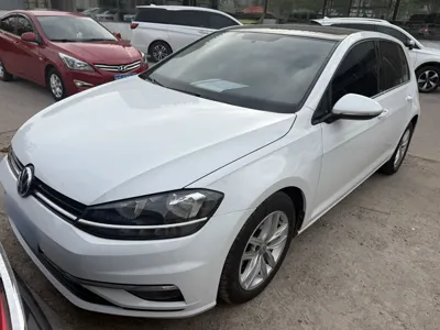 Volkswagen Golf · 2018 год
