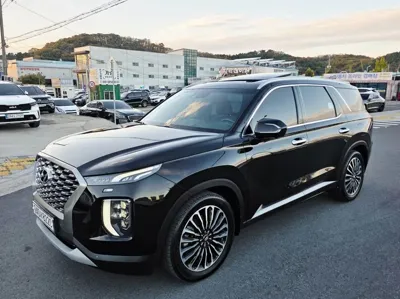 Hyundai Palisade · 2019 год