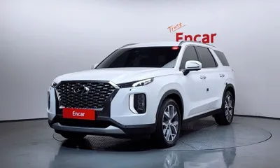 Hyundai Palisade · 2019 год