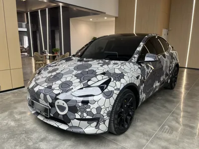 Tesla Model Y · 2021 год