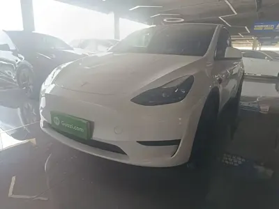 Tesla Model Y · 2024 год