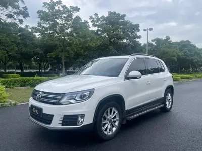 Volkswagen Tiguan · 2015 год